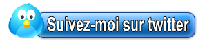 bouton-twitter-1