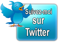 Et si vous vous faisiez suivre sur twitter ?