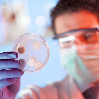 Scientist observing petri dish.